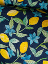 Paradisio-kangaspala, vaaleansininen, puuvillatrikoo, Öko-Tex, 250 cm